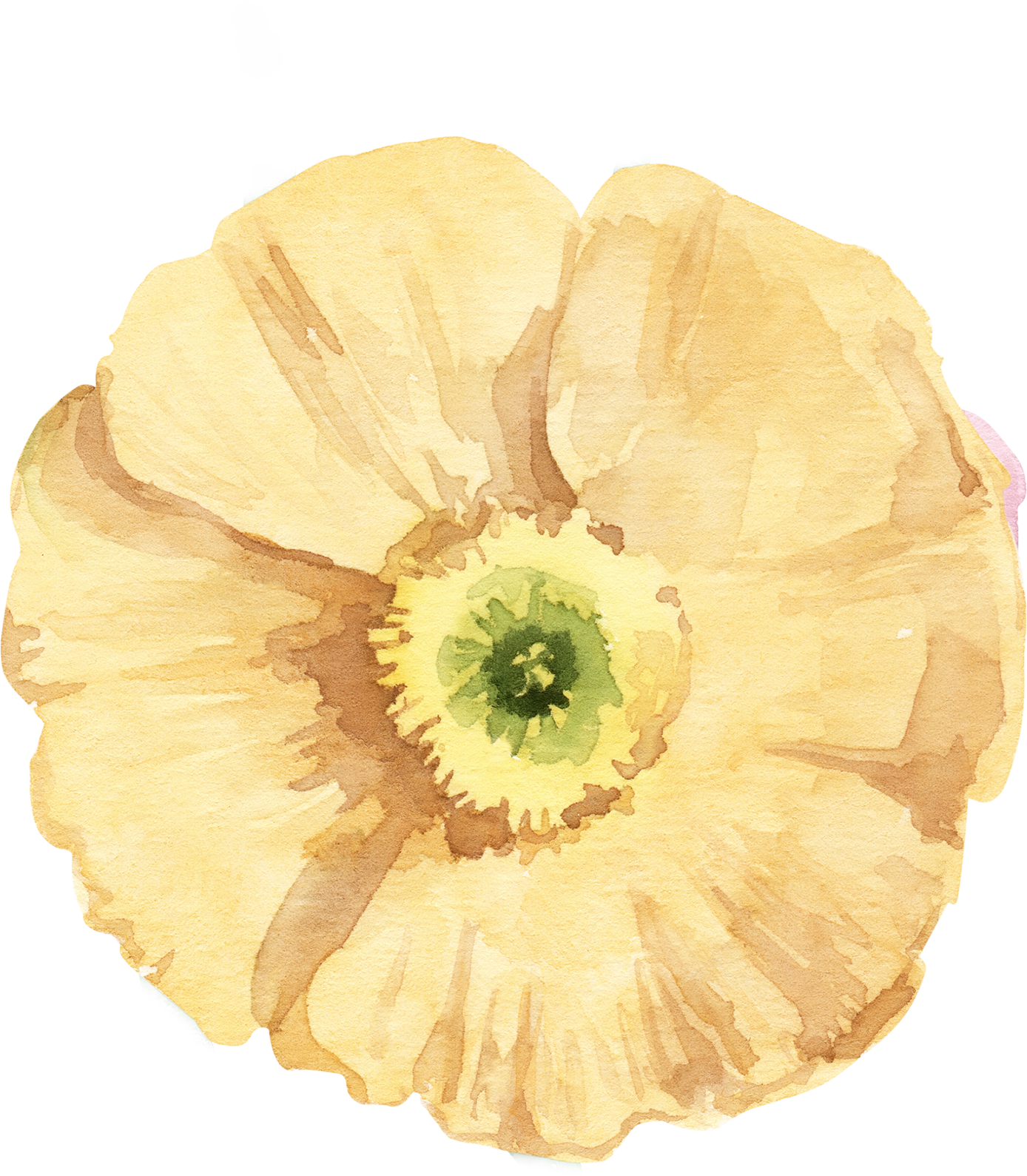 Vj Flower illustratie