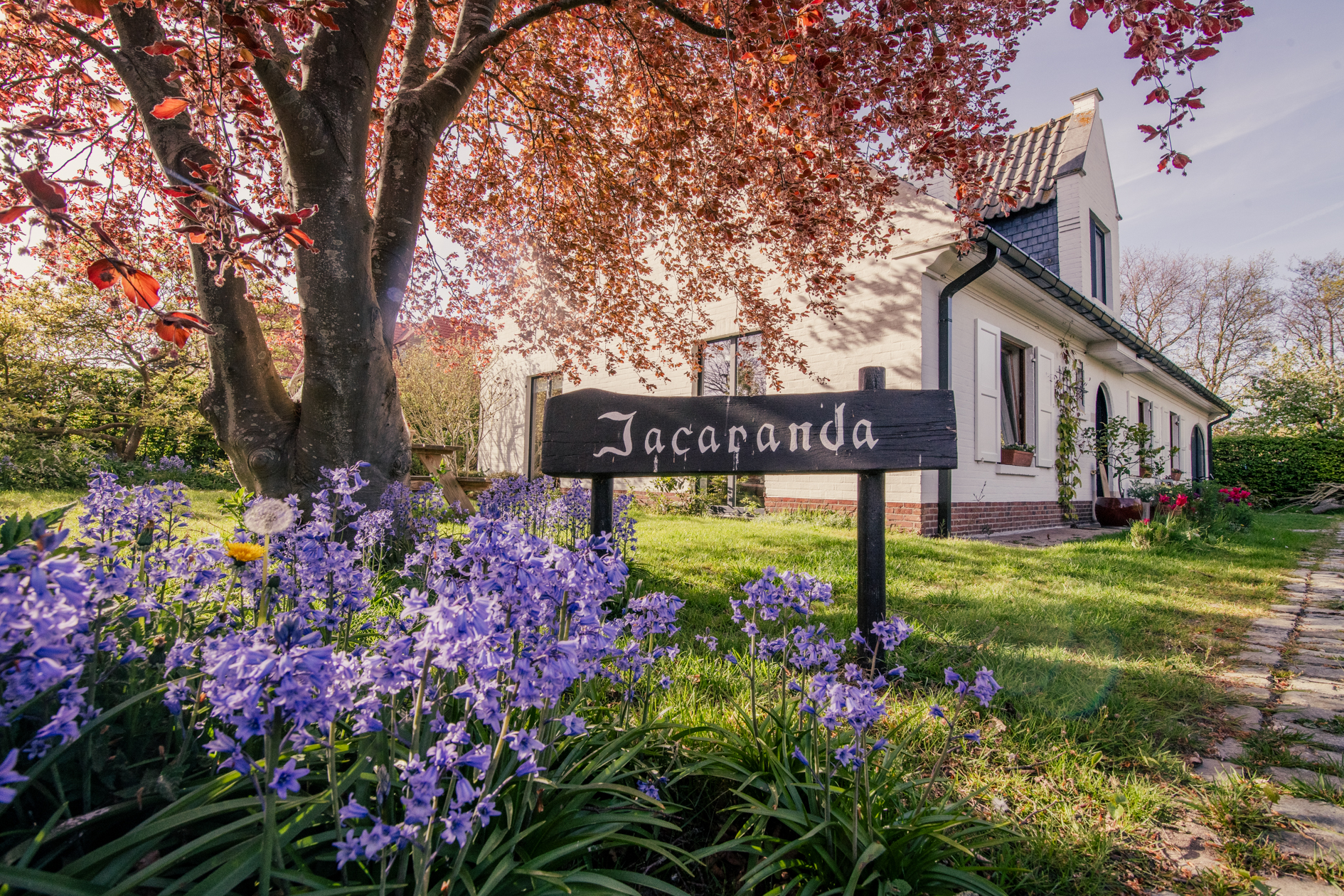 Villa Jacaranda Welkom Thuis foto