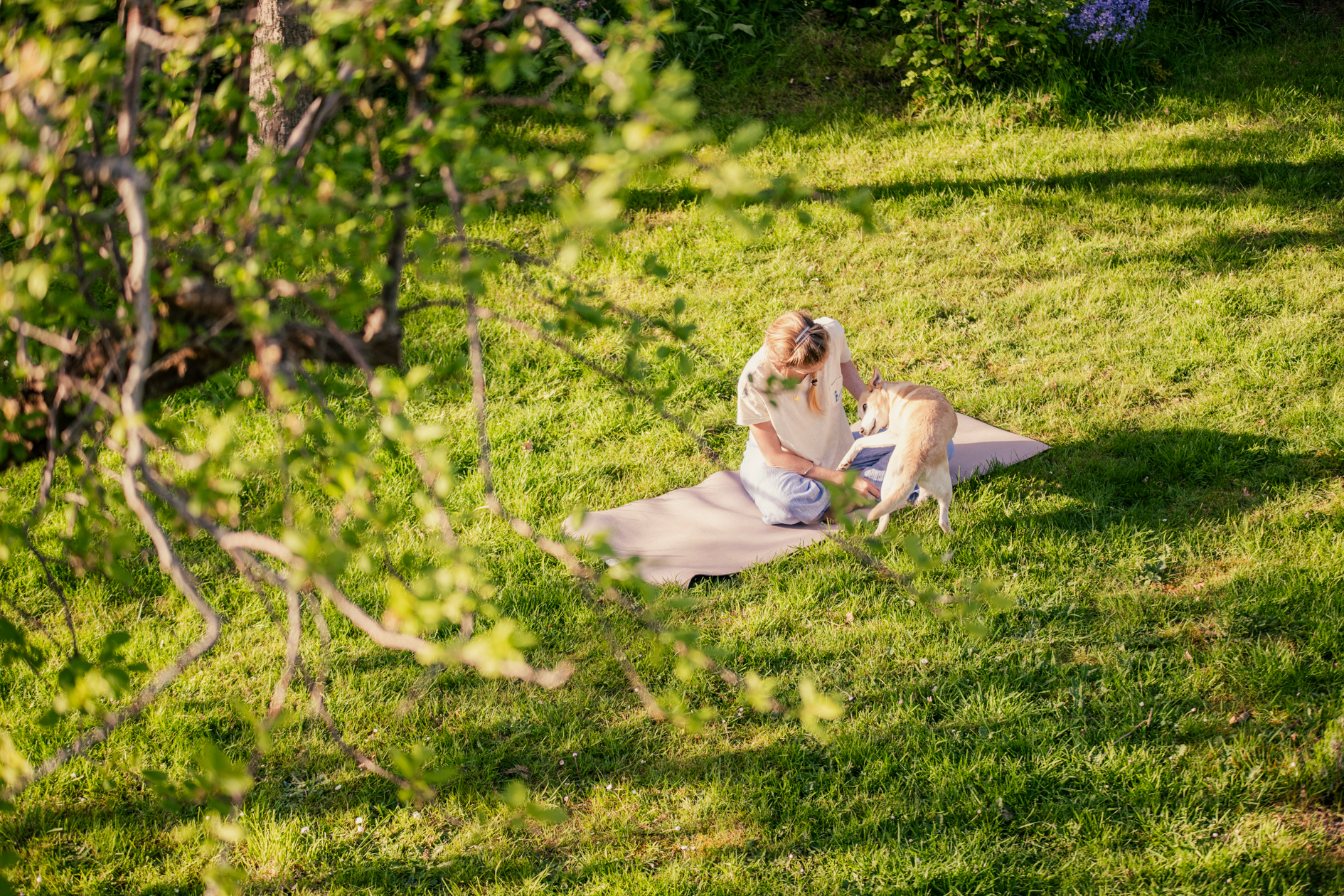 hond Villa Jacaranda